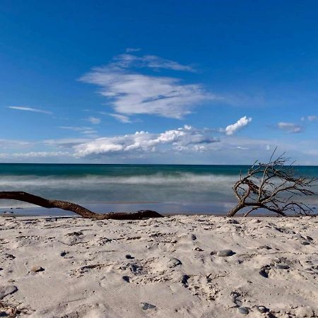 Ferienapartment Wiese & Meer Auf Ruegen Neddesitz Bagian luar foto