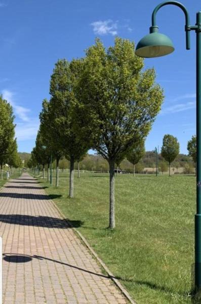 Ferienapartment Wiese & Meer Auf Ruegen Neddesitz Bagian luar foto
