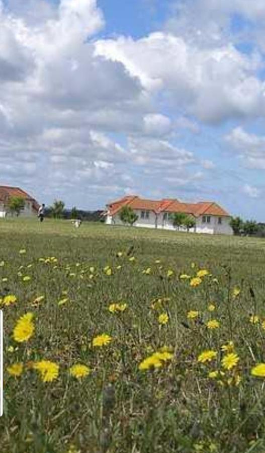 Ferienapartment Wiese & Meer Auf Ruegen Neddesitz Bagian luar foto
