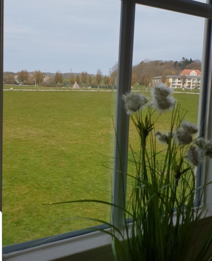 Ferienapartment Wiese & Meer Auf Ruegen Neddesitz Bagian luar foto