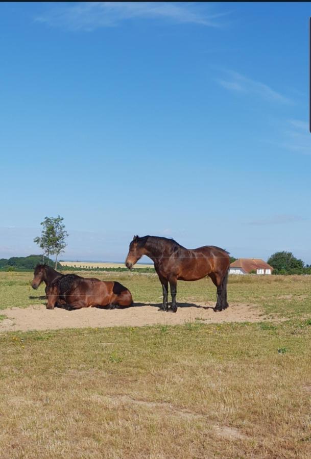 Ferienapartment Wiese & Meer Auf Ruegen Neddesitz Bagian luar foto